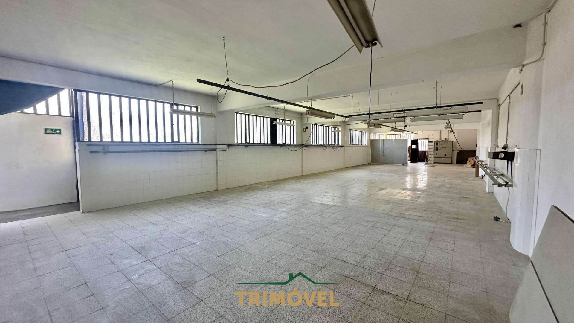 Fábrica/Indústria  Arrendamento em São Roque,Oliveira de Azeméis