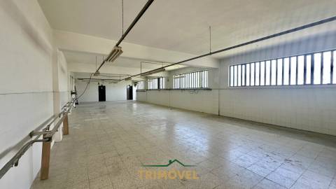 Fábrica/Indústria  Arrendamento em São Roque,Oliveira de Azeméis