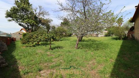 Moradia Independente T3 em Estarreja