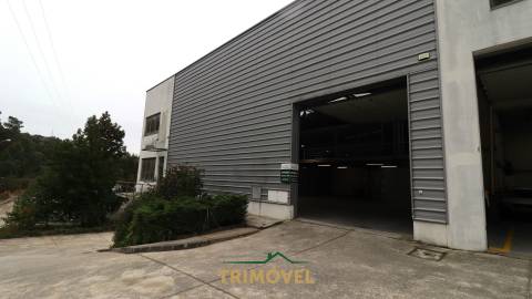 Fábrica/Indústria  Arrendamento em Nogueira do Cravo e Pindelo,Oliveira de Azeméis