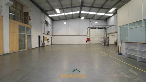 Fábrica/Indústria  Arrendamento em Nogueira do Cravo e Pindelo,Oliveira de Azeméis