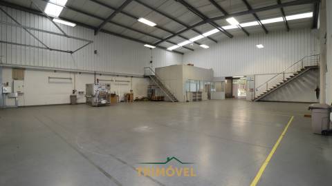 Fábrica/Indústria  Arrendamento em Nogueira do Cravo e Pindelo,Oliveira de Azeméis