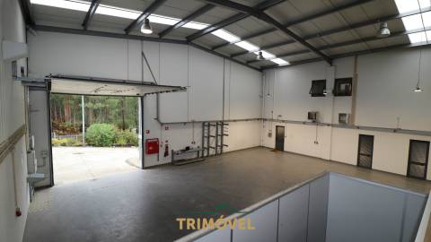 Fábrica/Indústria  Arrendamento em Nogueira do Cravo e Pindelo,Oliveira de Azeméis