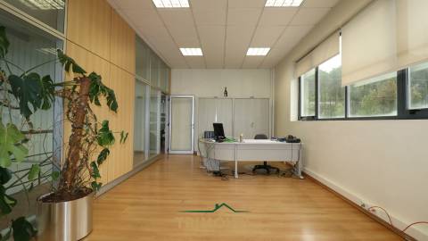 Fábrica/Indústria  Arrendamento em Nogueira do Cravo e Pindelo,Oliveira de Azeméis