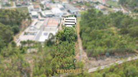 Pavilhão industrial em São Roque, Oliveira de Azeméis