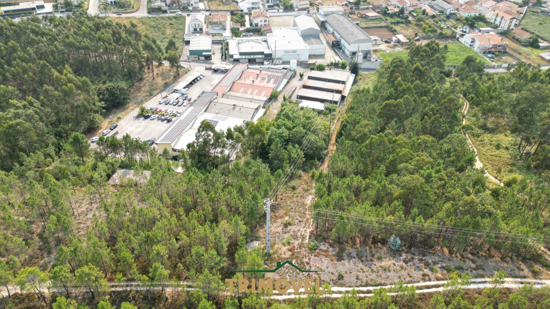Pavilhão industrial em São Roque, Oliveira de Azeméis