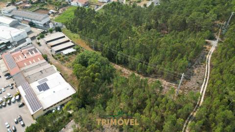 Pavilhão industrial em São Roque, Oliveira de Azeméis