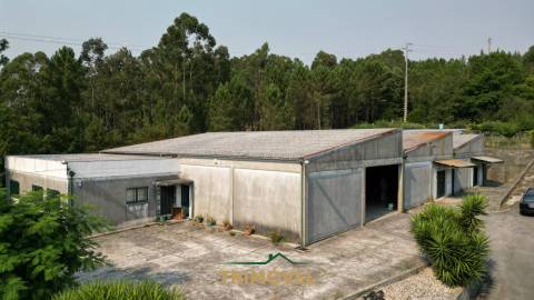 Pavilhão industrial em São Roque, Oliveira de Azeméis