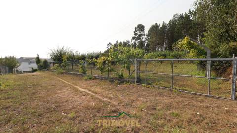 Pavilhão industrial em São Roque, Oliveira de Azeméis