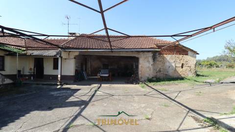 Moradia T4 Venda em Loureiro,Oliveira de Azeméis