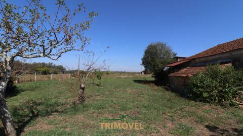Moradia T4 Venda em Loureiro,Oliveira de Azeméis