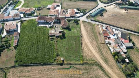 Moradia T4 Venda em Loureiro,Oliveira de Azeméis