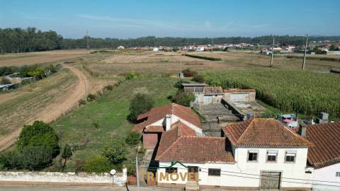 Moradia T4 Venda em Loureiro,Oliveira de Azeméis