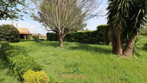 Moradia Independente T3 em Estarreja