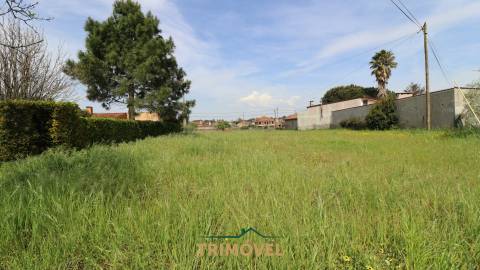 Terreno para Construção em Estarreja
