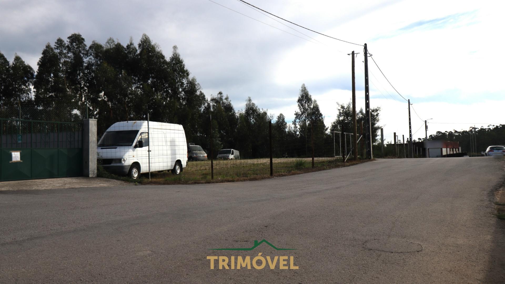 Terreno em Pindelo, Oliveira de Azeméis