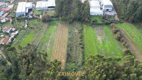 Terreno em Pindelo, Oliveira de Azeméis