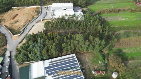 Terreno em Pindelo, Oliveira de Azeméis