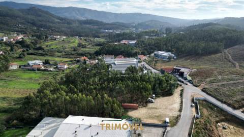 Terreno em Pindelo, Oliveira de Azeméis