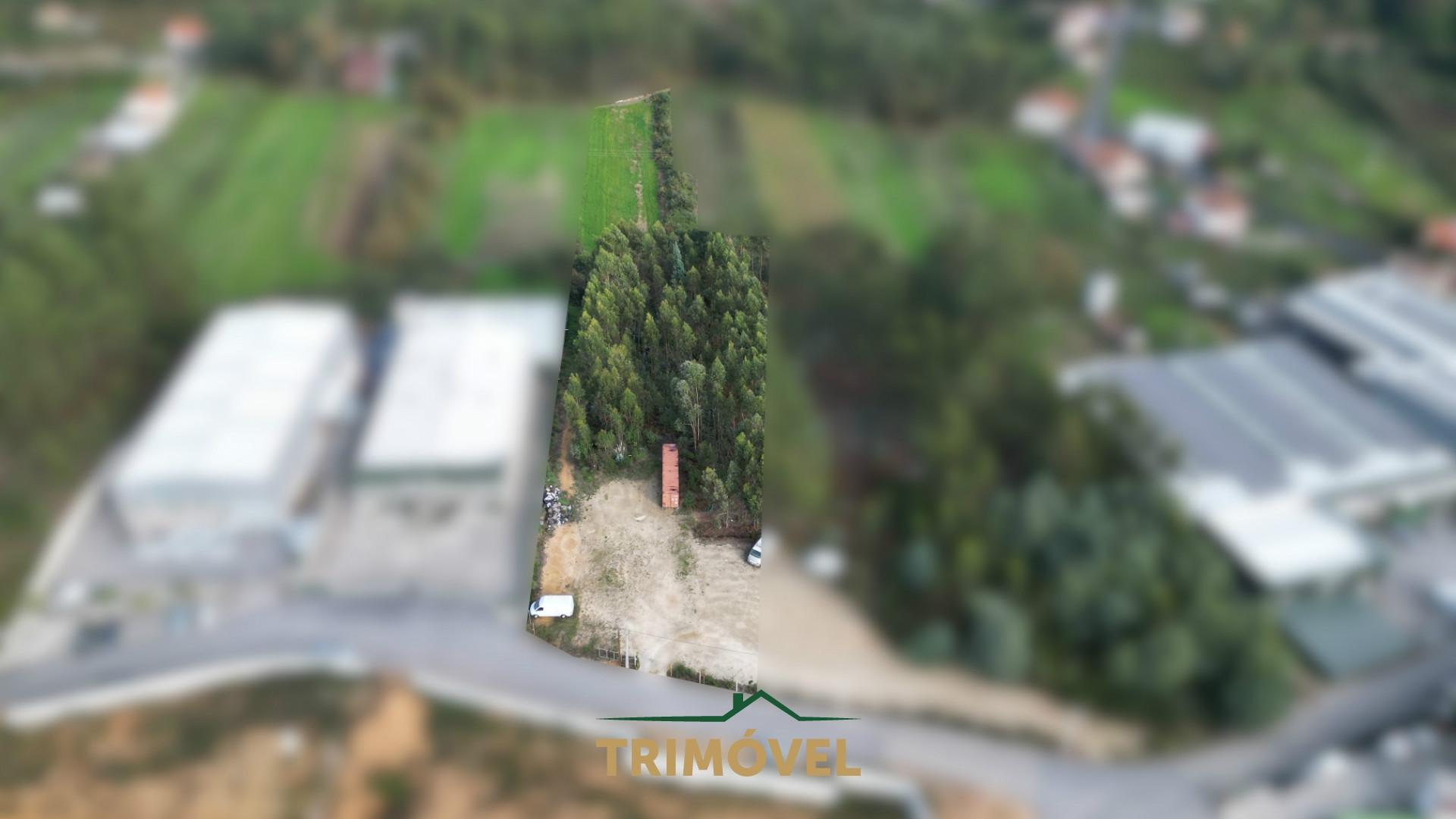 Terreno em Pindelo, Oliveira de Azeméis