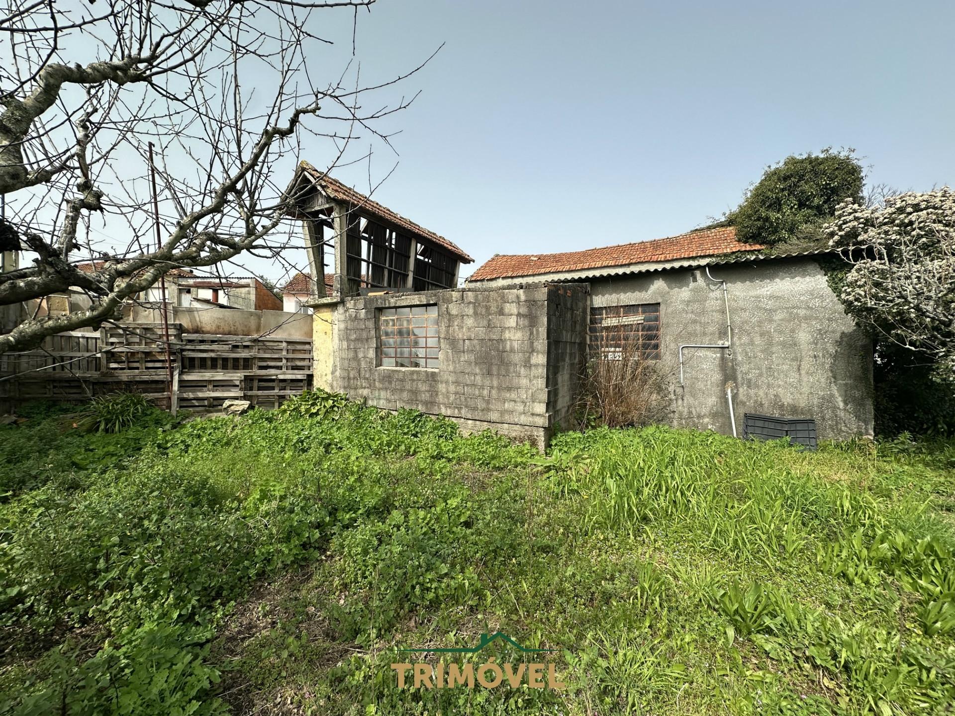 Terreno Urbano  Venda em São Roque,Oliveira de Azeméis
