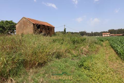 Terreno urbano com moradia antiga em Válega, Ovar