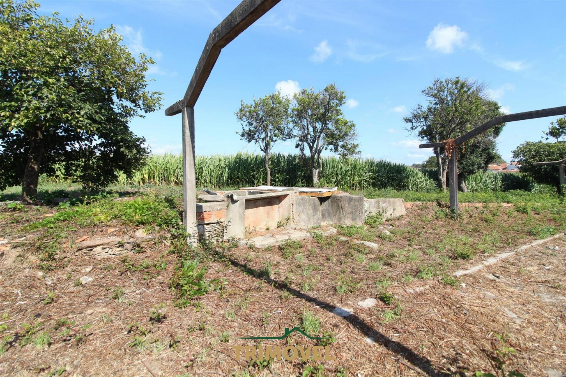 Terreno urbano com moradia antiga em Válega, Ovar