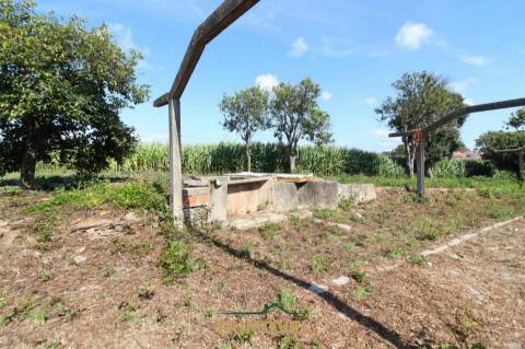 Terreno urbano com moradia antiga em Válega, Ovar