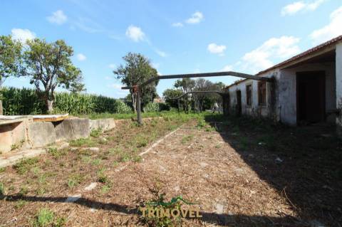 Terreno urbano com moradia antiga em Válega, Ovar