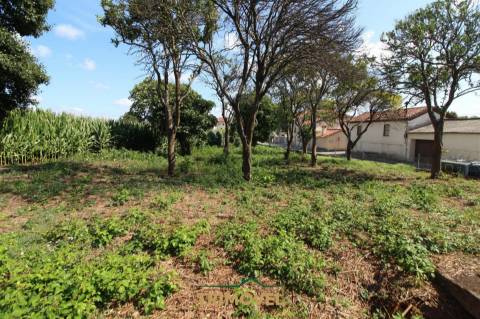 Terreno urbano com moradia antiga em Válega, Ovar