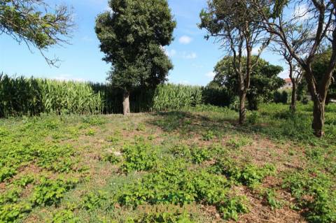 Terreno urbano com moradia antiga em Válega, Ovar