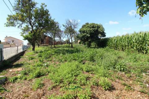 Terreno urbano com moradia antiga em Válega, Ovar