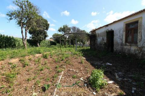 Terreno urbano com moradia antiga em Válega, Ovar