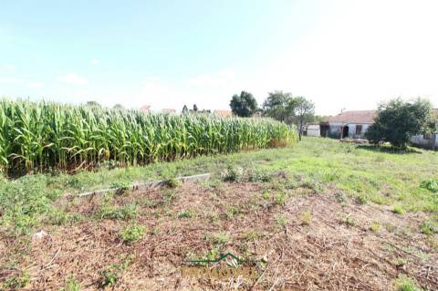 Terreno urbano com moradia antiga em Válega, Ovar