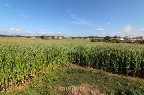 Terreno urbano com moradia antiga em Válega, Ovar