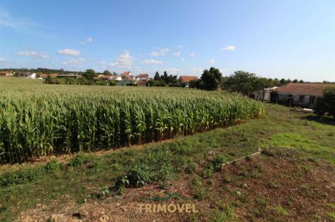 Terreno urbano com moradia antiga em Válega, Ovar