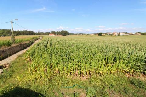 Terreno urbano com moradia antiga em Válega, Ovar