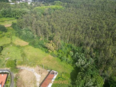 Terreno Rústico  Venda em Pinheiro da Bemposta, Travanca e Palmaz,Oliveira de Azeméis