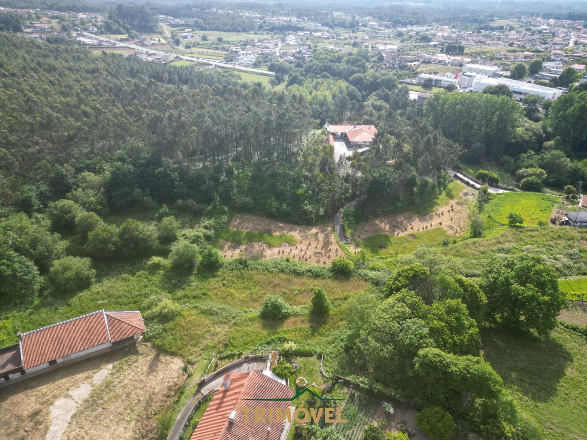 Terreno Rústico  Venda em Pinheiro da Bemposta, Travanca e Palmaz,Oliveira de Azeméis