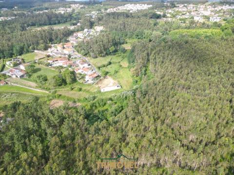 Terreno Rústico  Venda em Pinheiro da Bemposta, Travanca e Palmaz,Oliveira de Azeméis