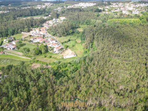 Terreno Rústico  Venda em Pinheiro da Bemposta, Travanca e Palmaz,Oliveira de Azeméis