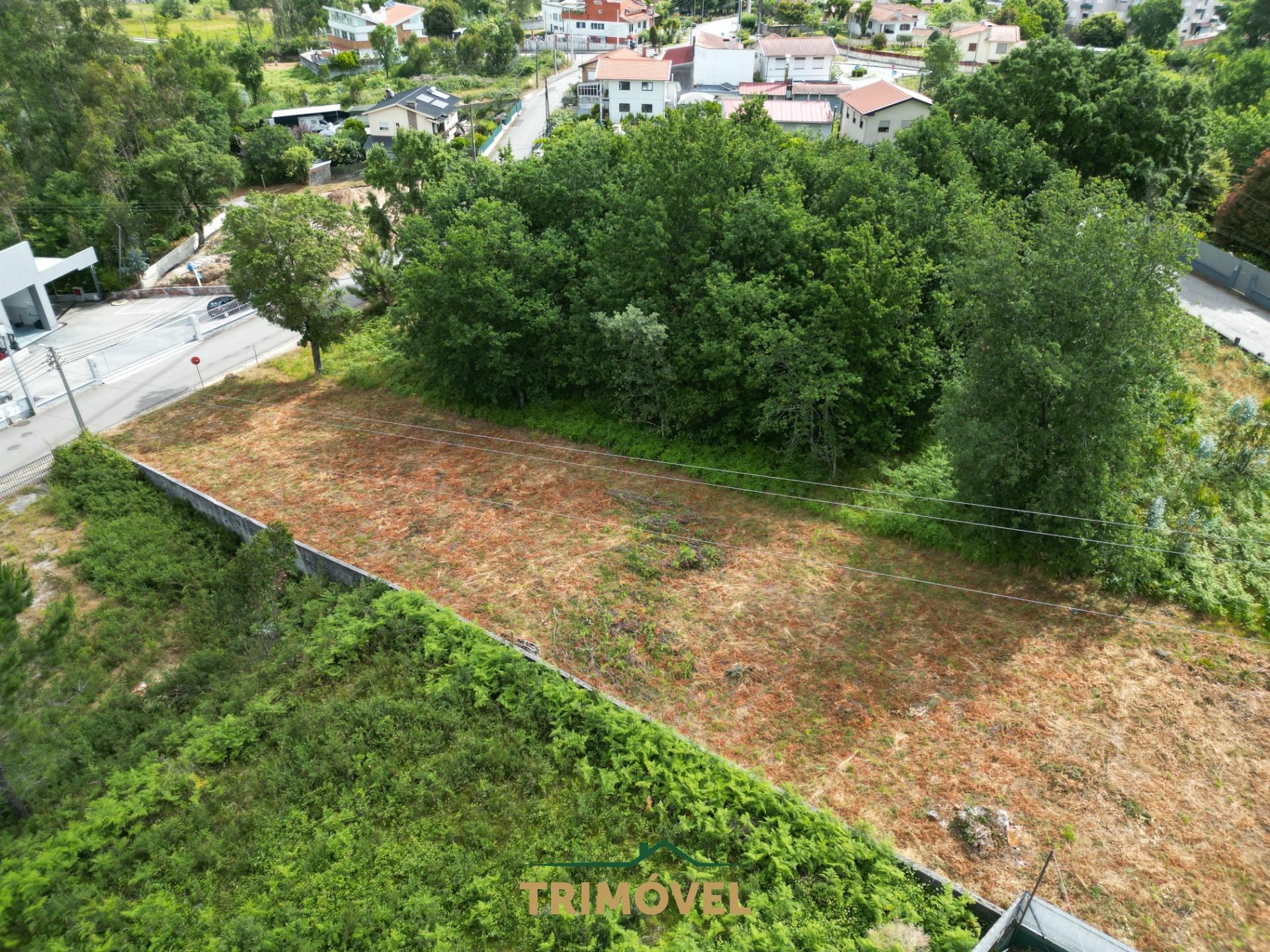 Terreno Urbano  Venda em São Roque,Oliveira de Azeméis