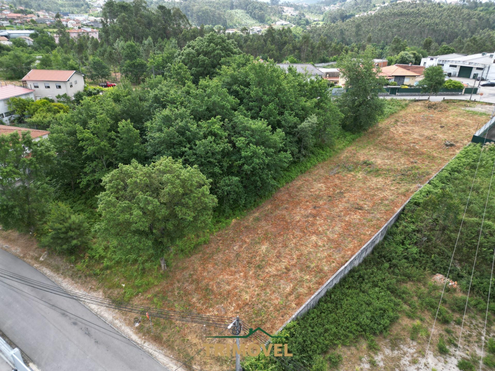 Terreno Urbano  Venda em São Roque,Oliveira de Azeméis