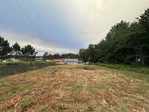 Terreno Urbano  Venda em São Roque,Oliveira de Azeméis