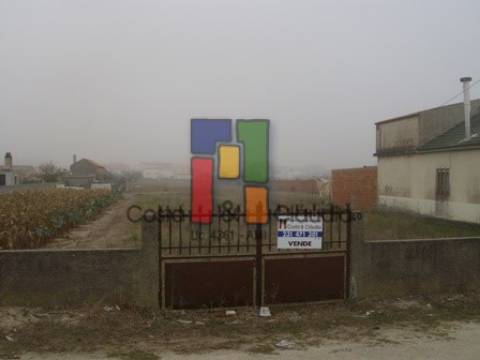 Terreno Urbano  Venda em Praia de Mira,Mira