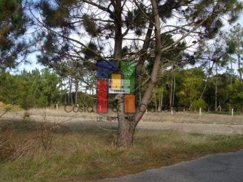Terreno Rústico  Venda em Praia de Mira,Mira