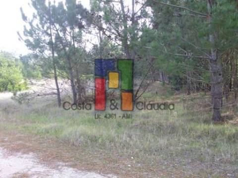 Terreno Rústico  Venda em Praia de Mira,Mira