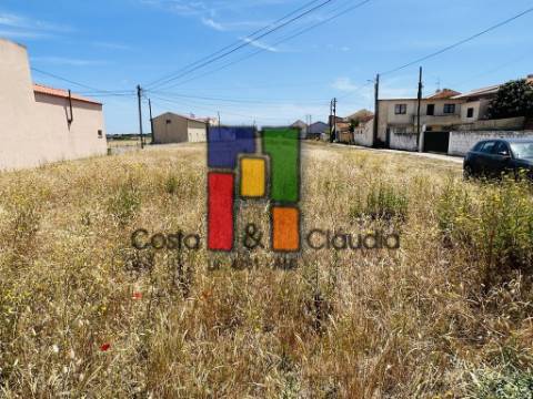 Terreno Urbano  Venda em Praia de Mira,Mira