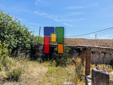 Terreno Urbano  Venda em Praia de Mira,Mira