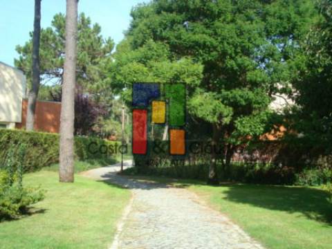 Terreno Para Construção  Venda em Praia de Mira,Mira